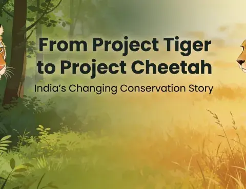 Tiger to Project Cheetah: India's Changing Conservation Story