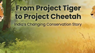 Tiger to Project Cheetah: India's Changing Conservation Story